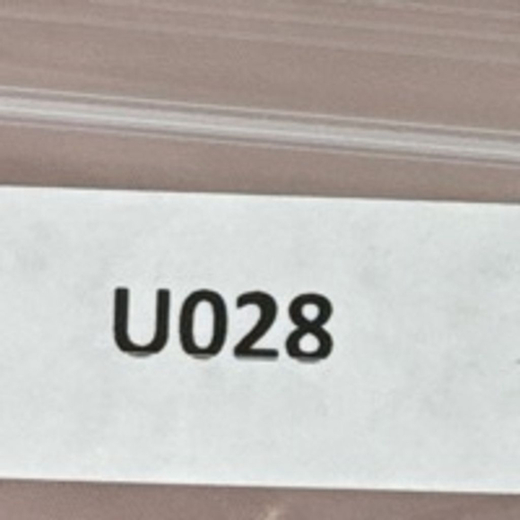 Men's Hollister Pink Flat Front Shorts Size 32 - Picture 10 of 10